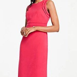 Ann Taylor Dress with Eyelet Detail in Fuschia, Size 6, EUC!